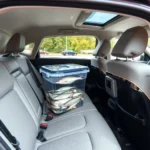 How to transport fish in car long distance