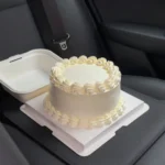 How to transport a cake in a car