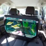 How to transport fish in a car